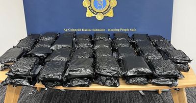 Man arrested after €600k worth of drugs seized in Dublin