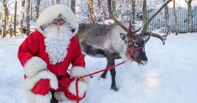 You can visit Santa's reindeer right here in Scotland - here's how to get tickets