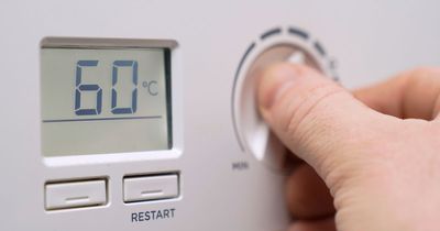 All the energy saving tips unveiled by government today - as critics say it's not enough