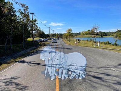 Wildlife to get 3D crosswalks