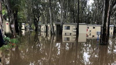 Moama faces 'catastrophic damage' and huge clean-up bill after Murray River flooding