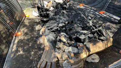 Arson squad investigates Giants of Mandurah fire which destroyed popular sculpture