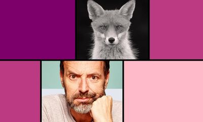 Tim Dowling: a local fox has started stalking me