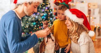 Wrapping paper warning issued to all pet owners