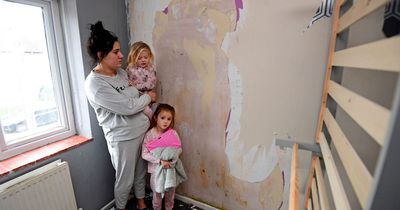 Damp, cold and dangerous - something is rotten in our housing system