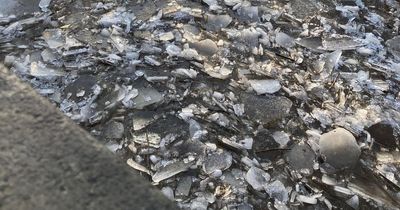 Lanarkshire river freezes over in sheets of ice as residents have 'never seen anything like it'