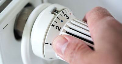 Government issues 'quick and easy no cost' tips that could save £350 a year on energy bills