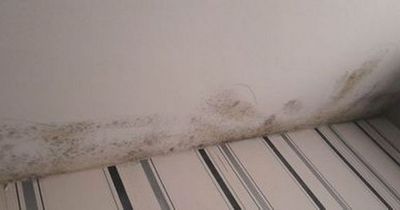 Scots mum's anger as new-build flat 'covered in black and hairy mould'