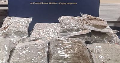 Man arrested after gardai discover €860k worth of drugs in a vehicle