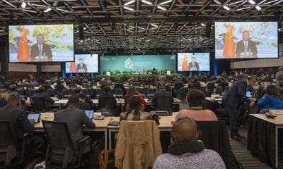 The US touts support for biodiversity – but at Cop15, it remains on the sidelines