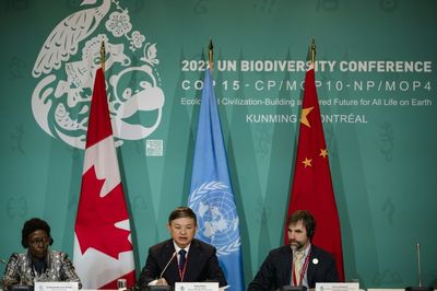 At UN summit, new hope for deal to save nature