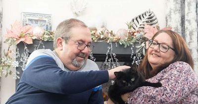 £1m lottery winners give their 'lucky' black cat the good life