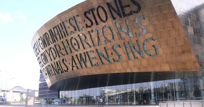 The number of Welsh speakers has fallen - and Covid may be to blame