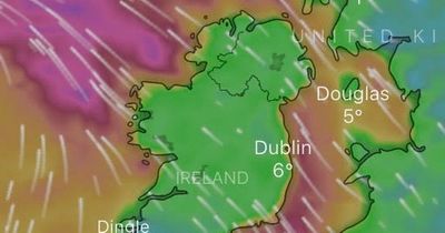 Big freeze officially ends as Met Eireann forecast mild temperatures and rain