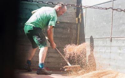 How to exercise while doing the household chores