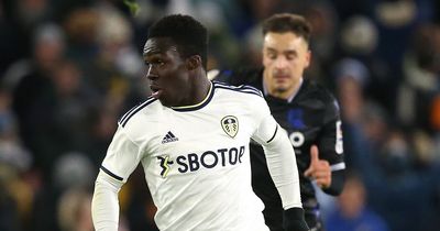 Leeds United's teenage sensation tipped to play starring role when Premier League returns