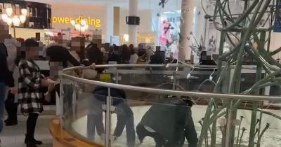 Men filmed 'fishing penny wishes' out of Nottingham Victoria Centre fountain