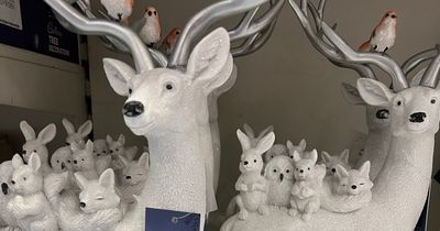 B&M shopper spots inappropriate reindeer ornament - but shop issues perfect response