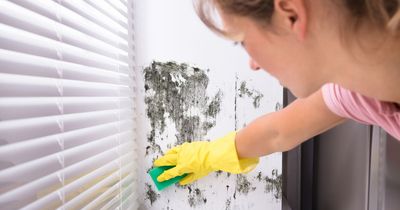 Mrs Hinch fans swear by 'fantastic' trick for removing mould with zero chemicals
