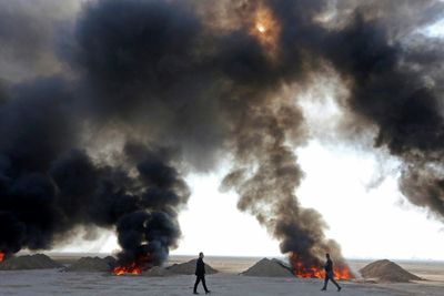 Iraq torches giant haul of illegal drugs