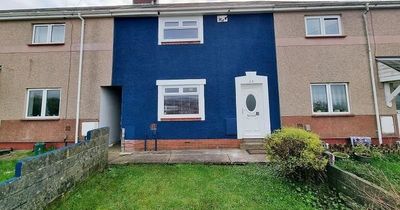 Dated terrace transformed into bright blue house you can see for miles