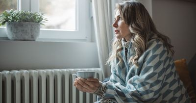 'Blame for Brits in danger of freezing to death at home lies with Tory ministers'