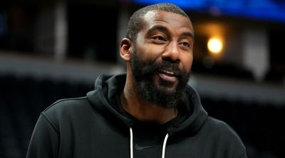 Report: Amar’e Stoudemire Arrested, Accused of Punching Daughter