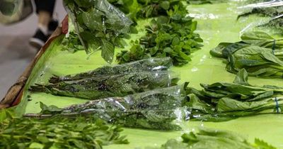 Greens 'still safe' after spinach recall: peak industry body