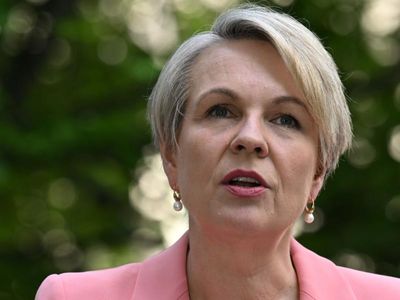 Plibersek fights reef listing at summit