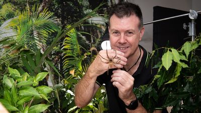 Bug wrangler Alan Henderson reveals tricks of the trade for making nature documentaries