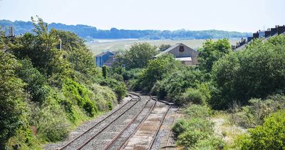 'Ghost train' spotted chugging along abandoned railway line leaving locals gobsmacked