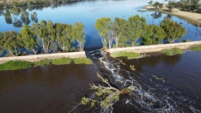 Work to repair more than 50 levee banks underway as burst impacts Murraylands town