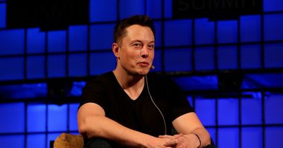 Elon Musk vows to stand down from Twitter if poll wants him gone