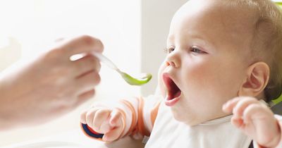 Major baby food brand Ella's Kitchen recalls product over safety fears