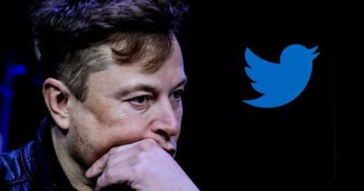 Elon Musk asks Twitter users if he should QUIT and says he will abide by poll