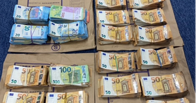 'Celebrity associate' arrested after gardai find huge hauls of cash during raid in Finglas