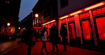 Amsterdam may ban red light district windows and ask brothel clients to book online