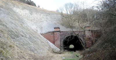 Inside abandoned tunnel so big 'it has its own climate' - and what lives there now