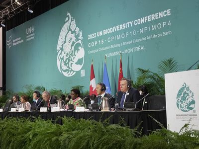 Negotiators at a U.N. biodiversity conference reach a historic deal to protect nature