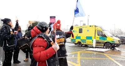 Nurses strike 'could last six months' warns health leader
