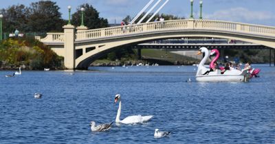 Warning after swans get trapped in frozen lake