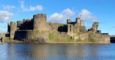 Warning to not feed birds at Caerphilly Castle after a number of swans and geese are found dead and 'sick'