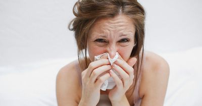 Cold that 'feels like Covid' sweeps UK as experts explain how to get rid of 'worst' lurgy