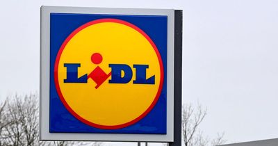 Lidl recalls two fish products over fears they could have bacteria that cause serious infections