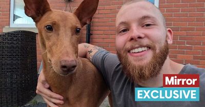 Expert shares step-by-step guide to help dog owners reduce their vet bills