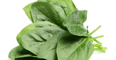 Australians urged not to chomp 'hallucinogenic' spinach for recreational high