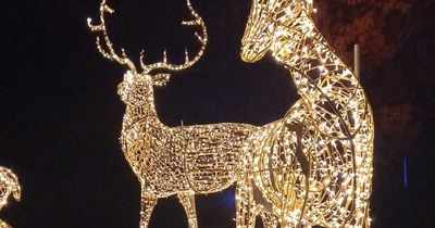 ‘I went to the Wonderlights in Malahide Castle - and it was breathtaking’