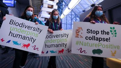 'Last chance' deal to save world's biodiversity agreed at Cop15