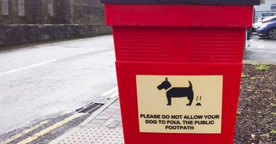 Dog fouling in major Liverpool areas falls as campaign hailed