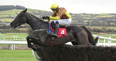 Galopin Des Champs starts Cheltenham Gold Cup campaign with faultless round of jumping